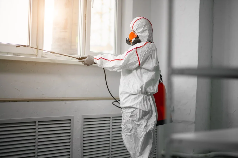 Professional mold remediation services in Cedar Valley, UT
